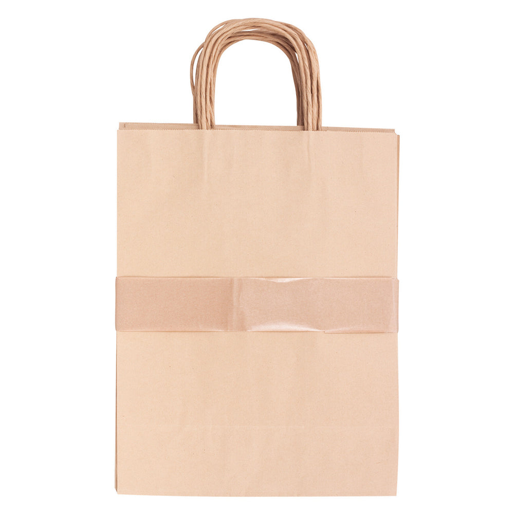 Paper Bag with Handle 10pcs