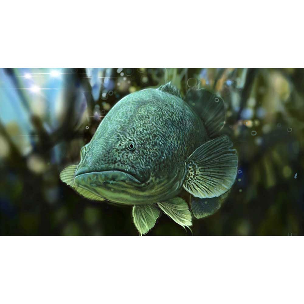 屋外マット(70x40cm)