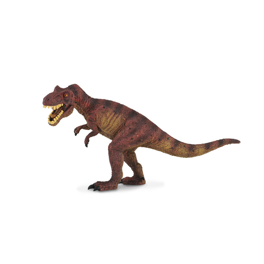 CollectA Tyrannosaurus Rex Dinosaurier-Figur (groß)