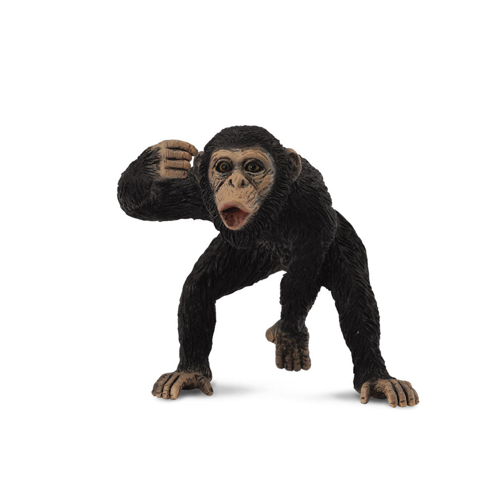 collecta chimpanzeeフィギュア(中程度)