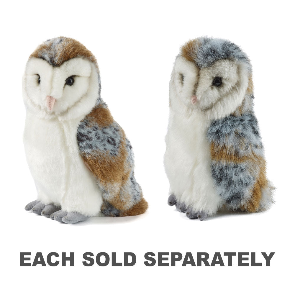 Living Nature Barn Owl