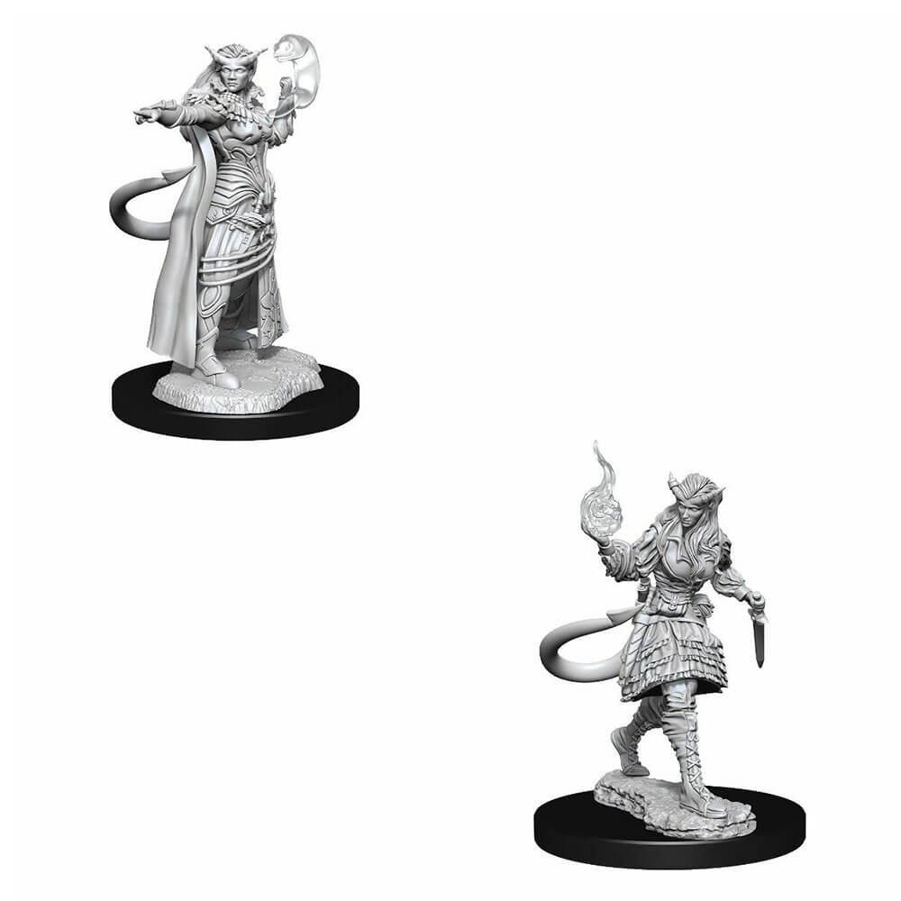D&D Nolzurs unbemalte Miniaturen