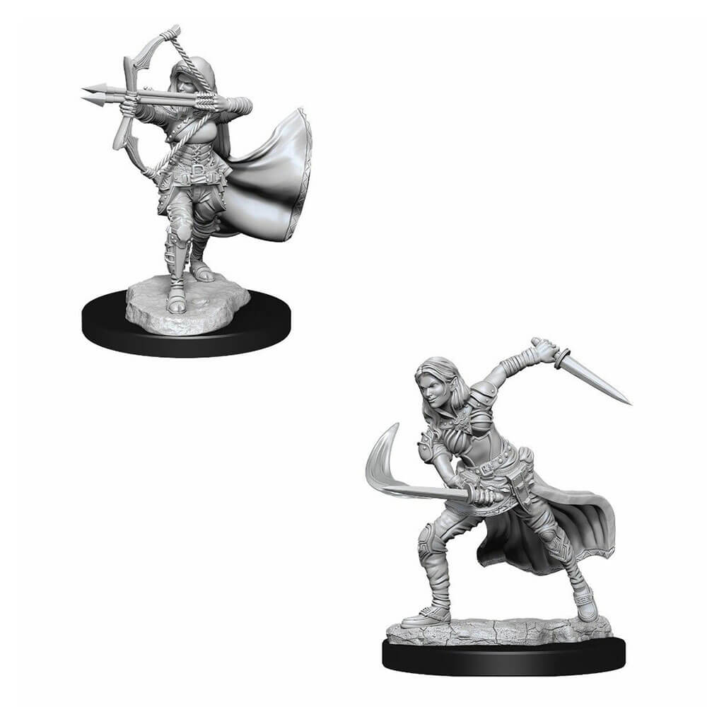 D&D Nolzurs unbemalte Miniaturen