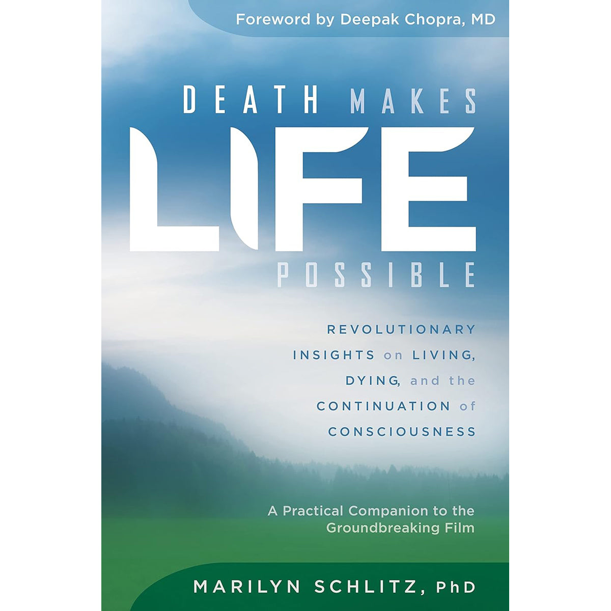 Death Makes Life Possible: Consciousness and Beyond