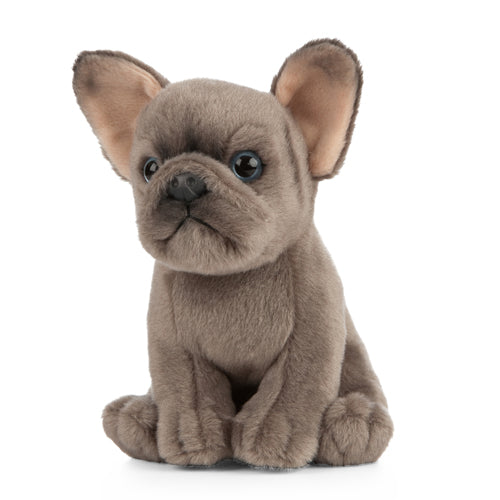 Living Nature French Bulldog Puppy