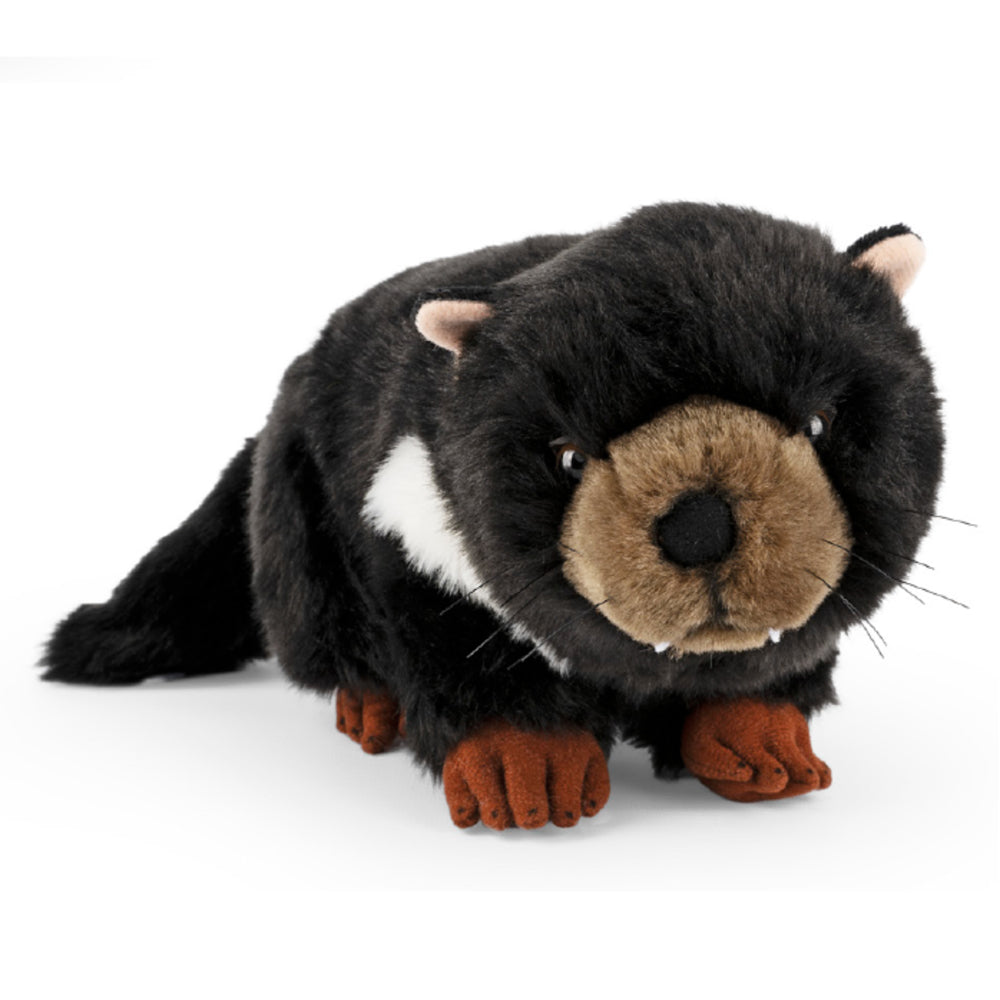 Living Nature Tasmanian Devil